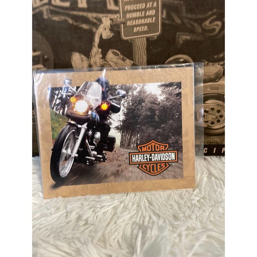 New HARLEY DAVIDSON ANTICIPATION ERTL COLLECTIBLES LIMITED EDITION - Picture 2 of 9